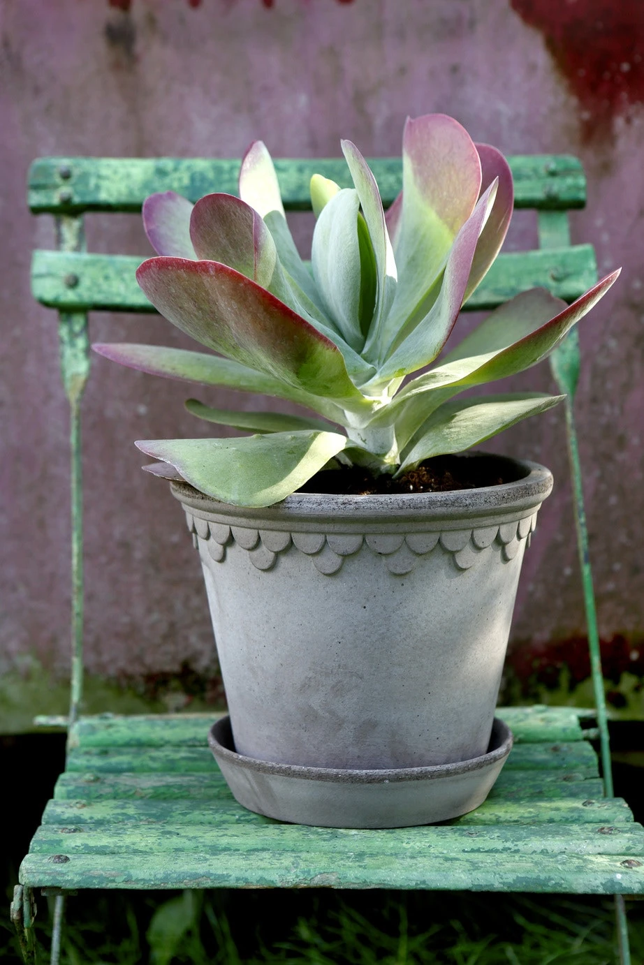 Bergs Potter Copenhagen Topf Grau, 21 Cm – Bild 3