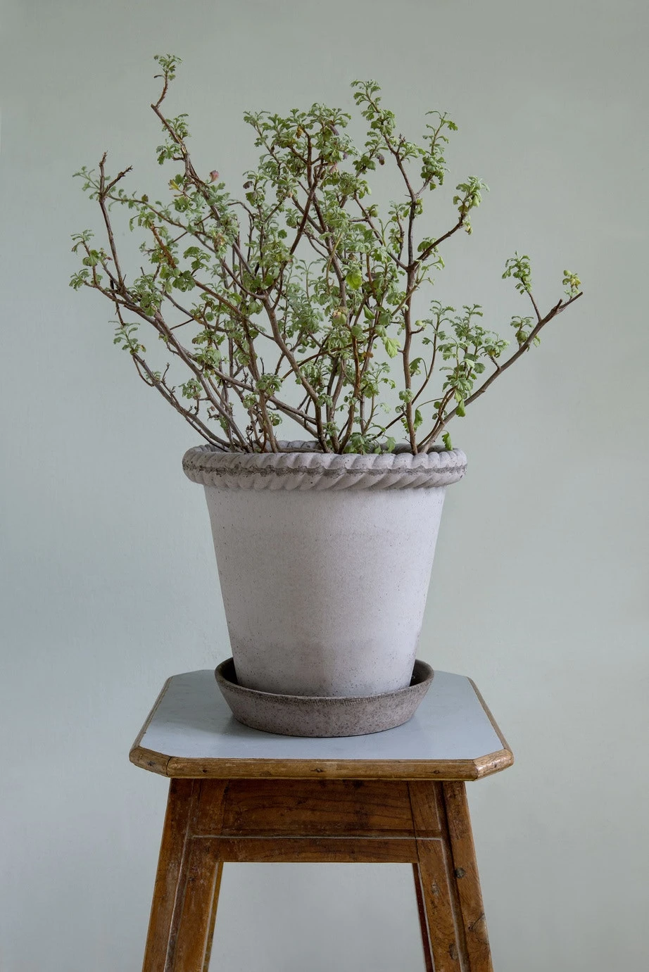 Bergs Potter Emilia Topf Grau, 18 Cm – Bild 3