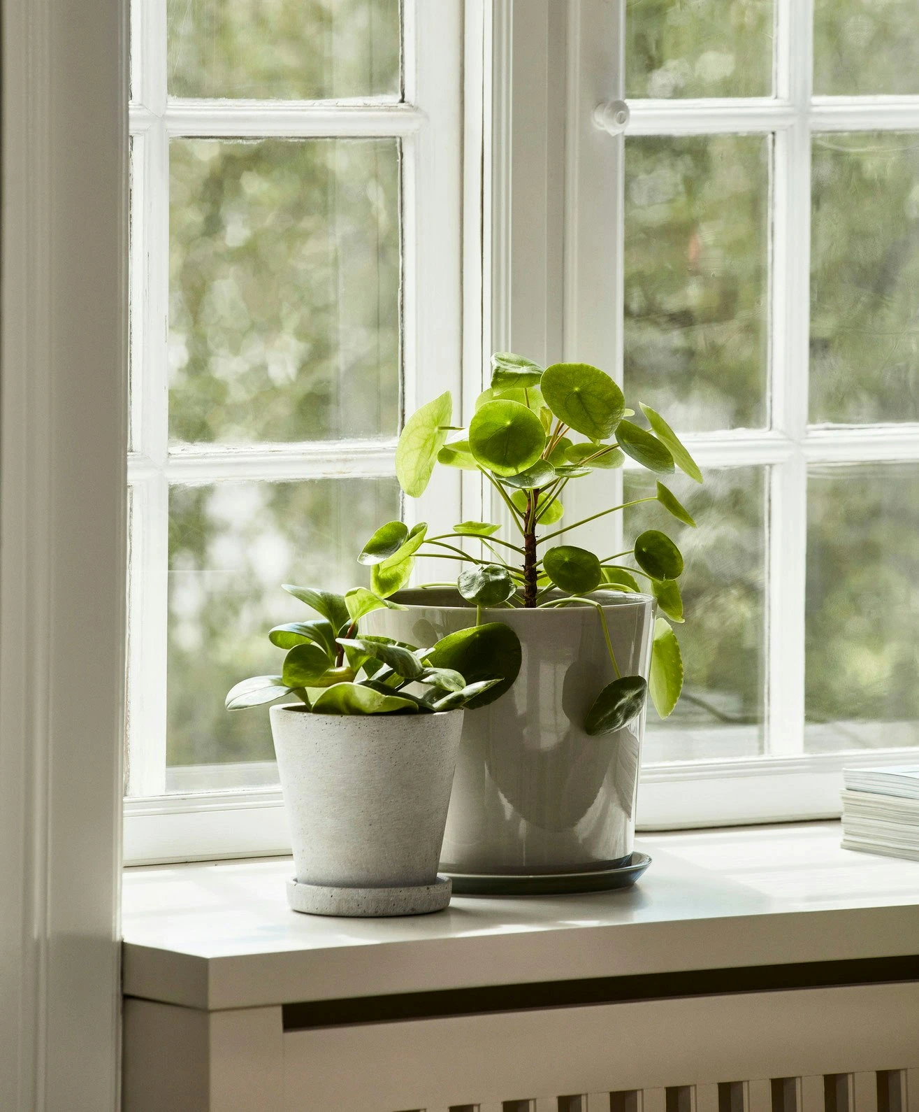 Hay Flowerpot Topf Mit Unterteller Grau, Ø17.5 Cm L – Bild 6