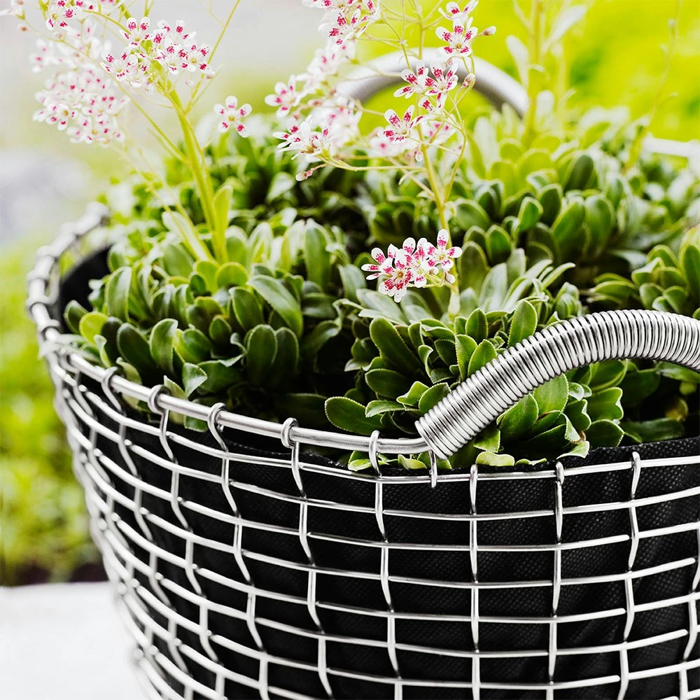 Korbo Classic 24 Korb, Säurefest Edelstahl – Bild 2