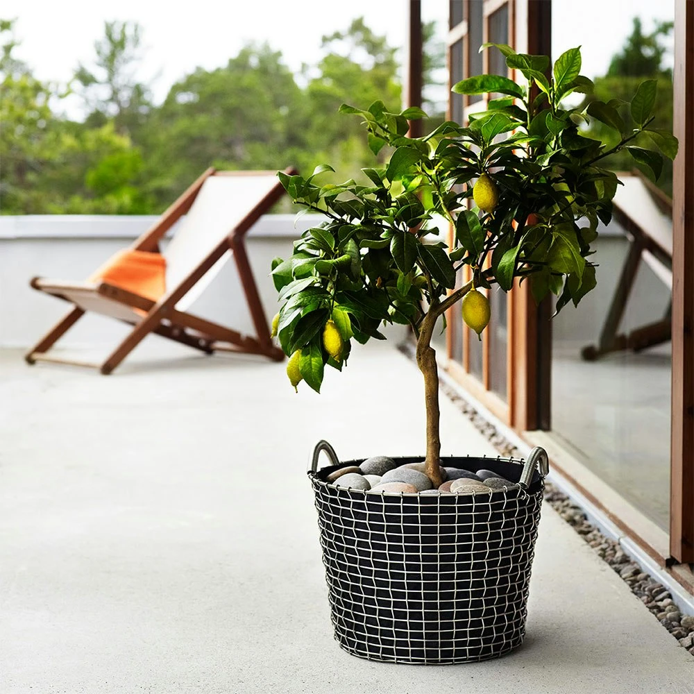 Korbo Classic 24 Korb, Säurefest Edelstahl – Bild 3