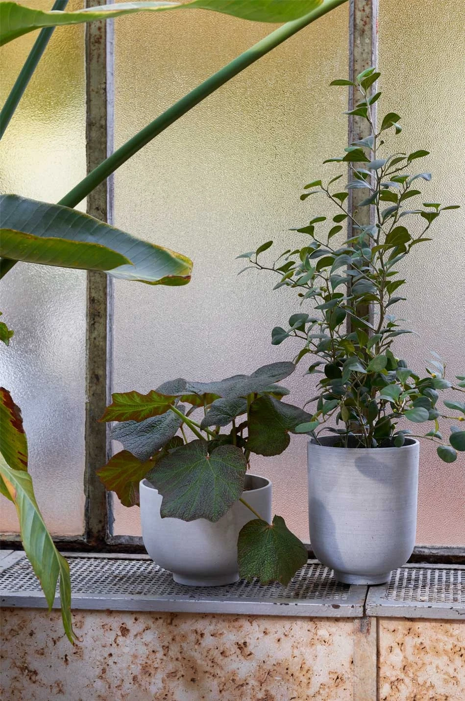 &Tradition Collect Übertopf Ø15x18 Cm, Ochre – Bild 6